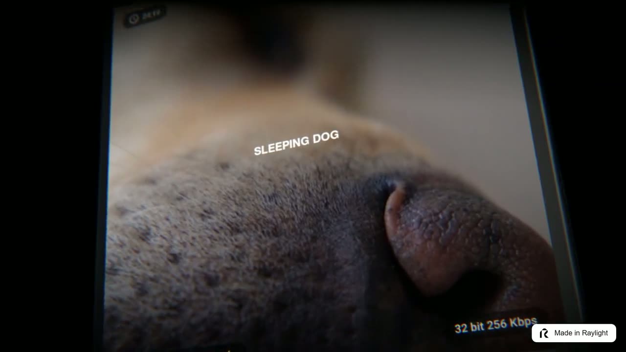 Wonderland sleep sounds app library of sounds recorded on location